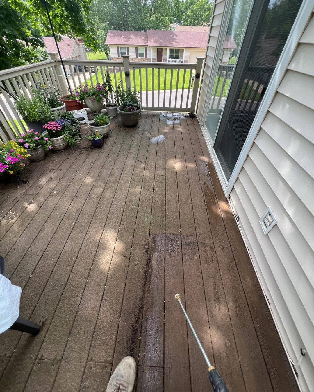 Mossy deck before washing